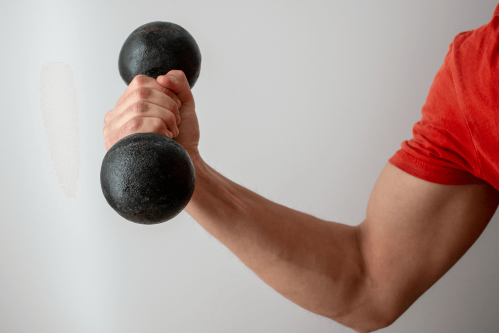 bicep workouts at home