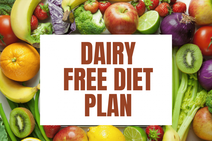 Dairy Free Diet Plan