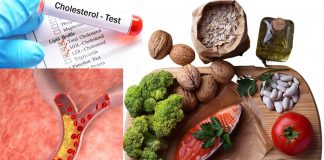 Low Cholesterol Diet Tips: The Proper Way To Control Your Cholesterol Low Cholesterol Diet