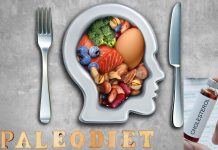 Paleo Diet And Cholesterol: The Truth Behind The Paleo Diet Paleo Diet And Cholesterol