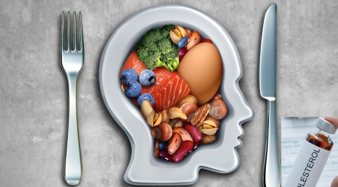 Paleo Diet And Cholesterol: The Truth Behind The Paleo Diet Paleo Diet And Cholesterol