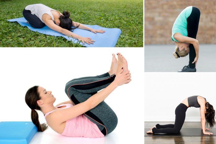 beginner yoga session for lower back pain